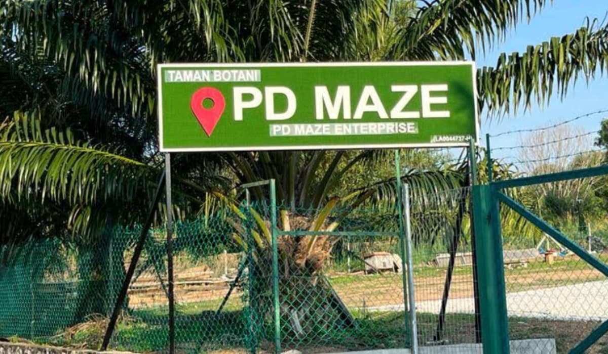 PD Maze